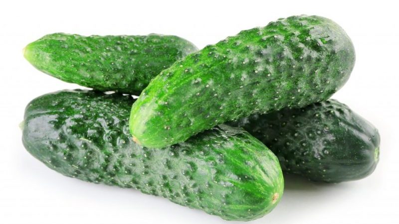 Pickled cucumbers Nizhinsky, loved by gardeners for the ease of growing, excellent taste and aroma