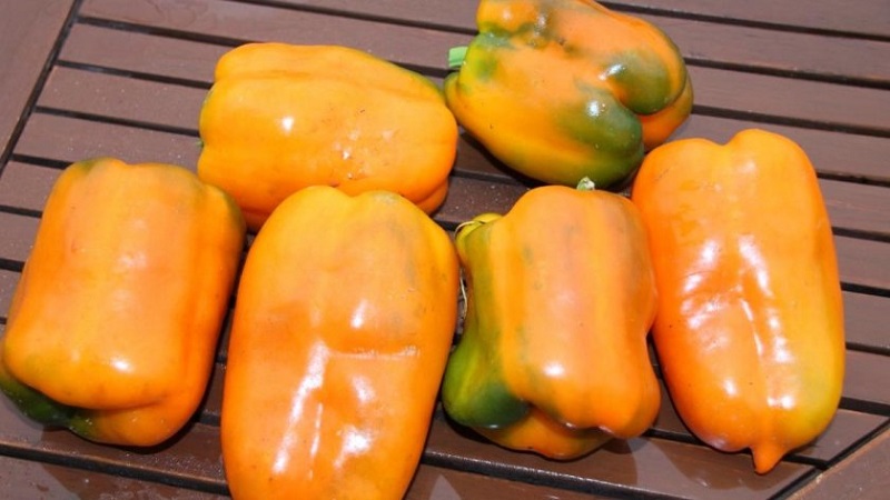 Ang iba't ibang mga Pepper Big Mama na may makatas na matamis na orange na prutas: madali kaming lumalaki sa aming site