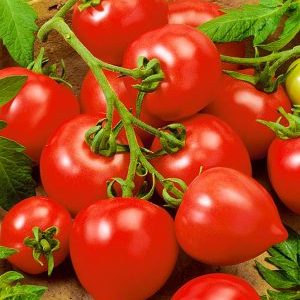 Opravdava li rajčica moja ljubav svoje ime: prednosti i nedostatke hibrida