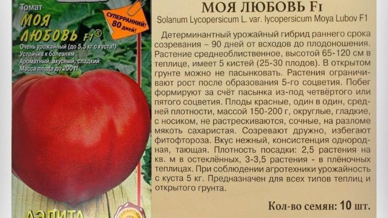 Ar pomidoras, mano meilė, pateisina jo pavadinimą: hibrido privalumai ir trūkumai