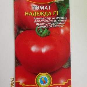 Como cultivar um tomate Nadezhda f1: fácil, maduro cedo e agradável com uma rica colheita