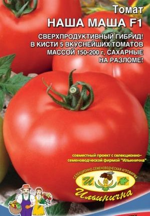 Una guía para principiantes para cultivar un tomate híbrido Our Masha f1