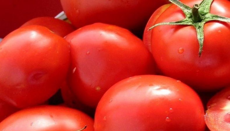 Um presente dos criadores holandeses - presidente do tomate: uma descrição detalhada do híbrido e os segredos para cuidar dele