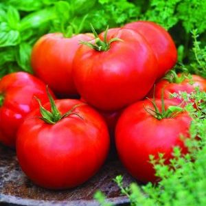 Bahçıvanlara aşık olmayı başaran genç bir çeşit - Sibirya elma domates