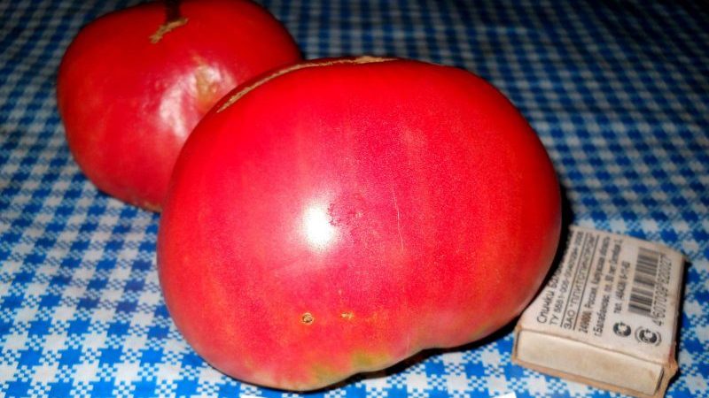 Diyet beslenmesi için hassas bir tada sahip büyük meyveli çeşit - domates Çar zili