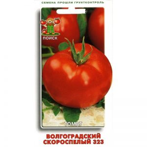 Jak wyhodować wcześnie dojrzewającego pomidora 323 z Wołgogradu i jak zachwyci hodowcę warzyw