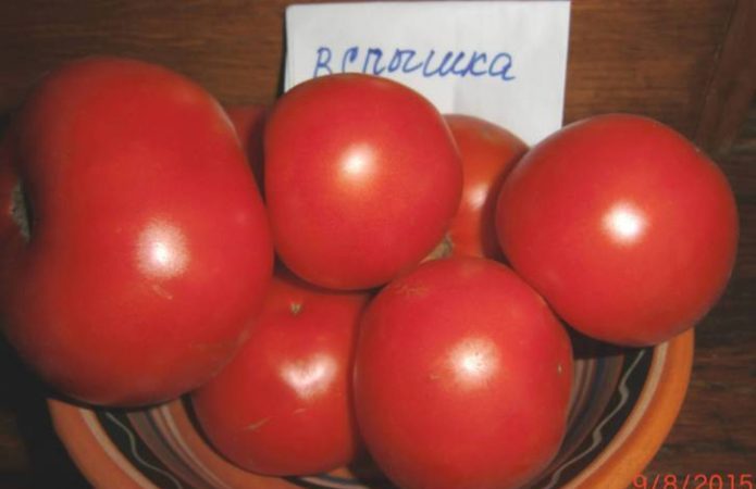 Les conseils d'entretien des tomates Flash: ce qui peut affecter les rendements