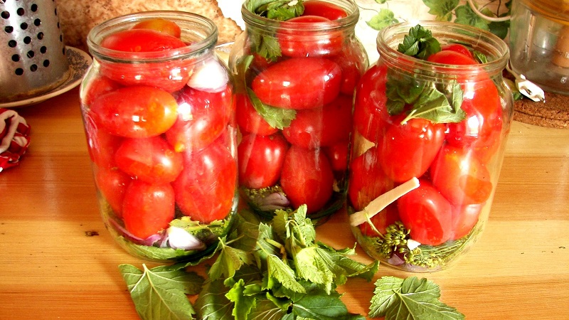 10 niezwykłych przepisów na pomidory na zimę: jak gotować pyszne pomidory i prawidłowo je zwijać