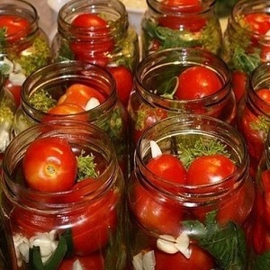 עשרת מתכוני העגבניות הבלתי רגילים לחורף: כיצד לבשל עגבניות טעימות ולהפשיל אותן בצורה נכונה