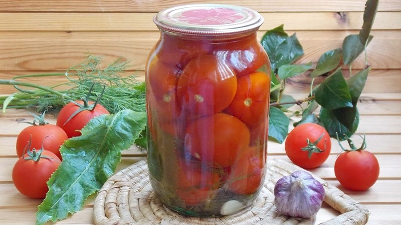 Topp 10 ovanliga tomatrecept för vintern: hur man lagar läckra tomater och rullar upp dem korrekt