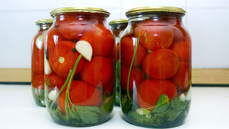 Top 10 ongebruikelijke tomatenrecepten voor de winter: hoe je heerlijke tomaten kookt en op de juiste manier oprolt
