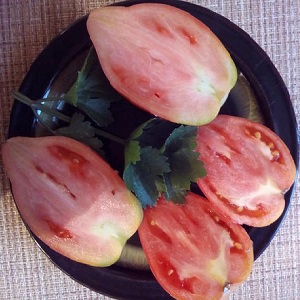 Grande produção e frutas grandes com um sabor delicado: tomate Águia coração - como cultivá-lo sem complicações