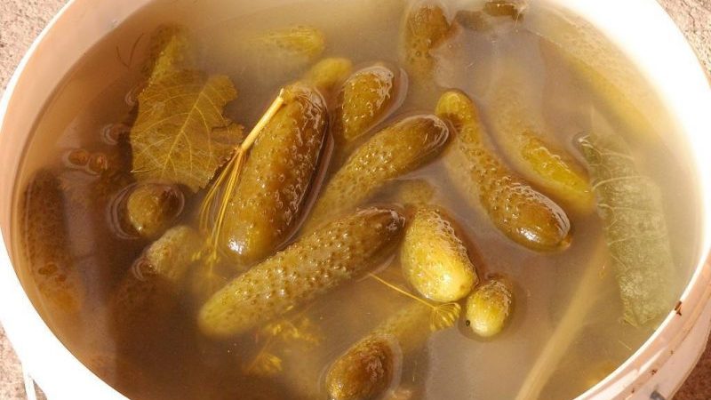Comment faire refroidir les concombres dans un seau pour l'hiver: les meilleures recettes de femmes au foyer expérimentées