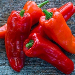 Pregled paprike s debelim zidom i visokog prinosa Tiven: kakva je sorta i kako ga uzgajati na vašem web mjestu