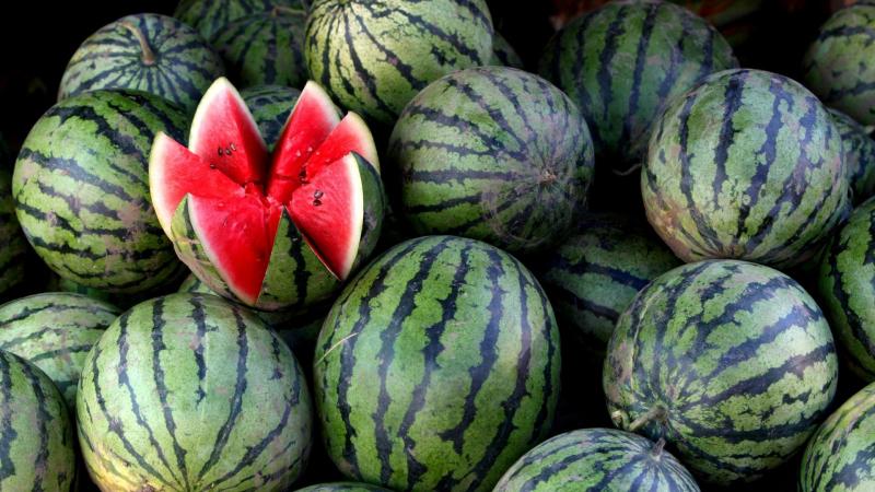 السؤال الذي يقلق الكثيرين: لماذا البطيخ هو التوت؟