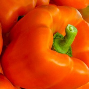 Een selectie van de beste soorten paprika met omschrijving