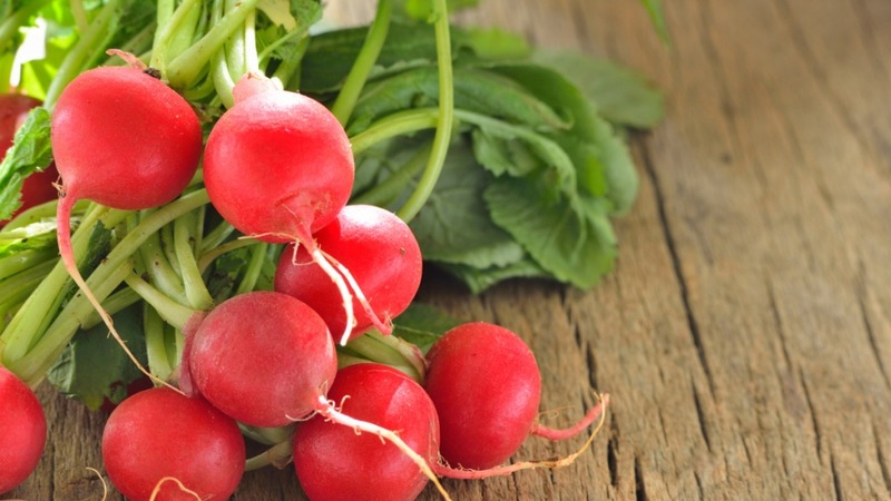 Pourquoi l'hybride de radis Cherriet est-il bon et pourquoi il vaut la peine d'être cultivé