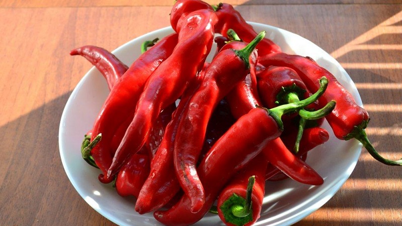 A selection of the best varieties of hot peppers and tips for their selection