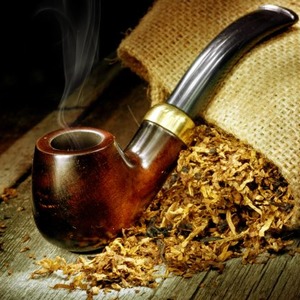 Um guia passo a passo sobre como cultivar tabaco Virginia 202