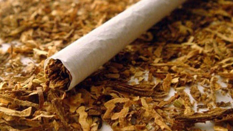 Les moyens les plus sûrs de stocker le tabac à la maison