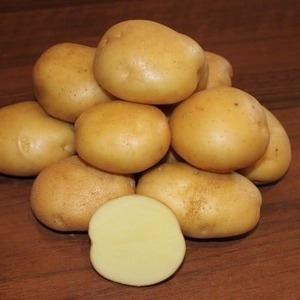 Drought-resistant and unpretentious potato variety Meteor: description and characteristics
