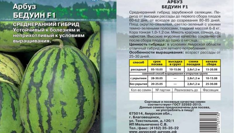 Eine unprätentiöse Pflege ultra-frühe Wassermelone Beduine f1 für Zentralrussland