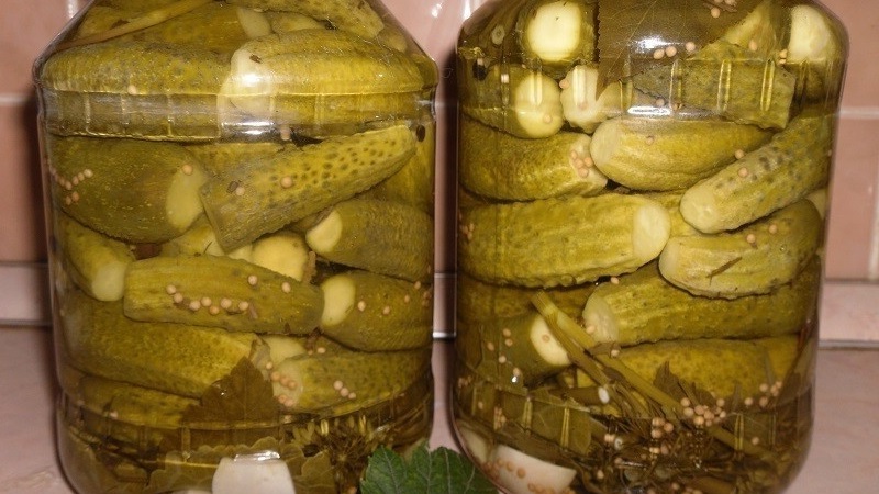 What to do if cucumbers in the jar are cloudy: how to correct mistakes and prevent them in the following blanks