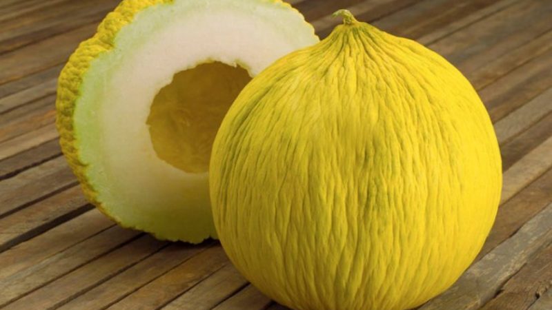 Was ist gut an der Kassaba-Melone, wie man sie auswählt und anbaut