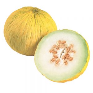 Ce qui est bien avec le melon Kassaba, comment le choisir et le cultiver