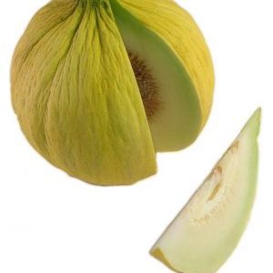 Was ist gut an der Kassaba-Melone, wie man sie auswählt und anbaut