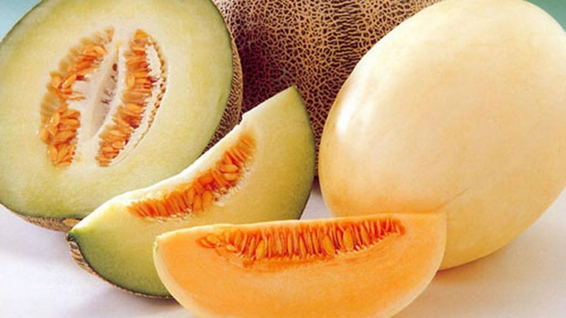 Régimes de melon efficaces pour perdre du poids: critiques et calories