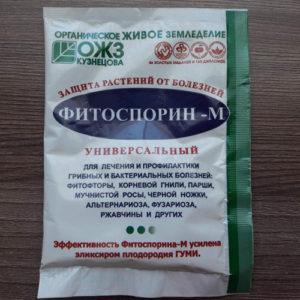 Instruccions d’ús de fitosporina per a cogombres