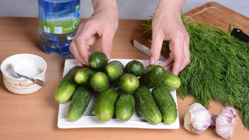 How to quickly and tasty cook lightly salted cucumbers