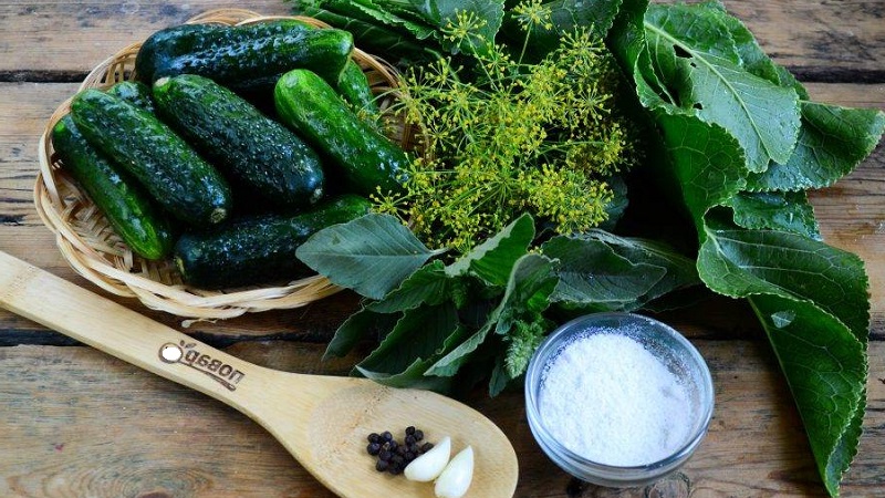 Hoe u snel en smakelijk licht gezouten komkommers kookt
