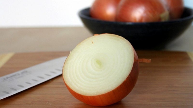 Kilo kaybı için soğan nasıl yenir: diyet tarifleri