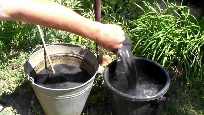 Comment nourrir les concombres avec de la cendre en plein champ et dans une serre, et ce que cela donnera à la future récolte