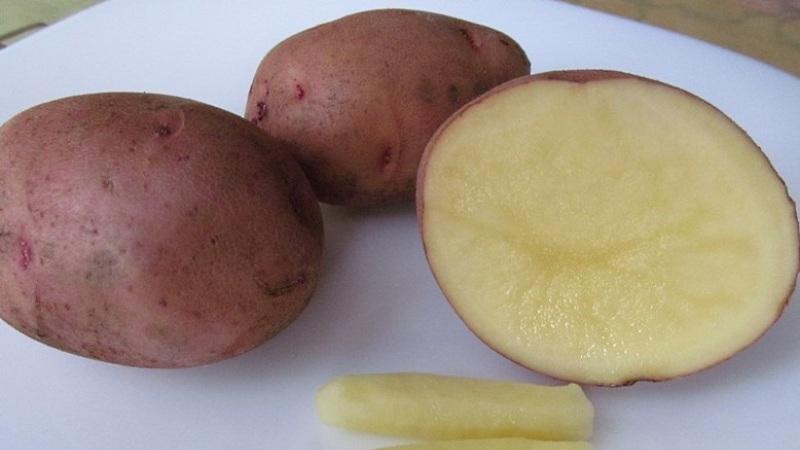 Comment utiliser les pommes de terre pour traiter diverses maladies