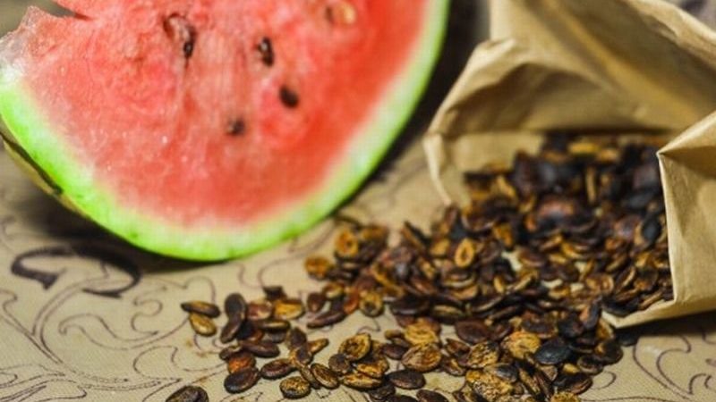 Wie man Wassermelonenkerne für das Pflanzen zu Hause aufbewahrt