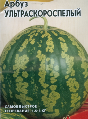 ما هي أنواع البطيخ المفضلة للزراعة في سيبيريا