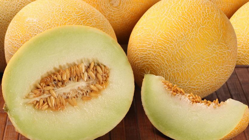 Wanneer meloenen rijpen en hoe de mate van rijpheid correct kan worden bepaald
