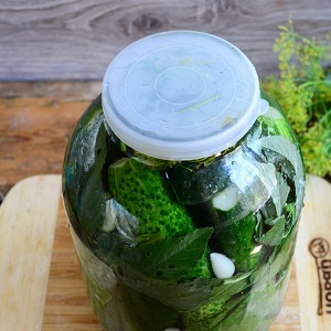De beste recepten om komkommers op een koude manier te beitsen onder een nylon deksel