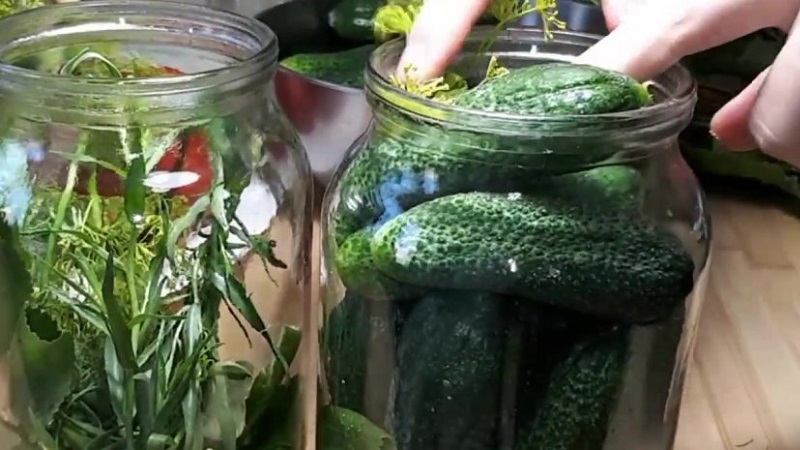 The best recipes for pickling cucumbers in a cold way under a nylon lid