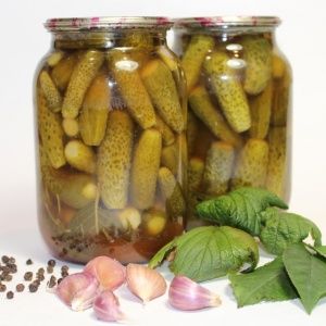 The best recipes for pickling cucumbers with chili ketchup for the winter: we prepare deliciously and roll up correctly