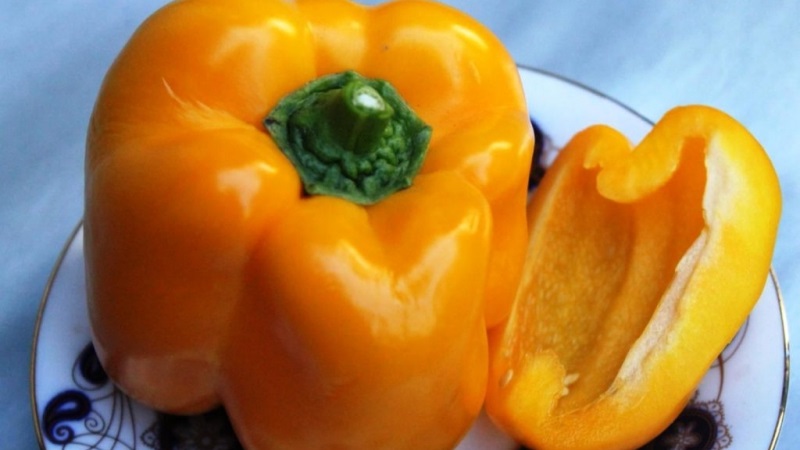 Najlepšie sladké papriky pre skleníky v Moskovskej oblasti