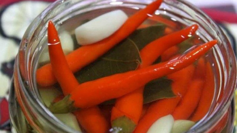 Les meilleures façons de récolter les piments forts pour l'hiver: recettes pour conserver et sécher les assaisonnements chauds