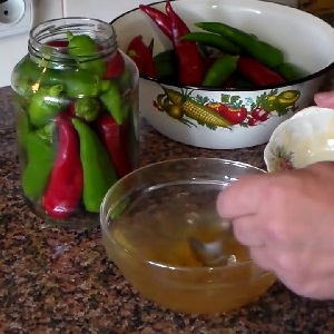De beste manieren om hete pepers voor de winter te oogsten: recepten voor het bewaren en drogen van warme kruiden