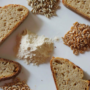 Mapanganib na gluten: nasa oats ba ito