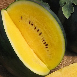 وصف وخصائص البطيخ الأصفر