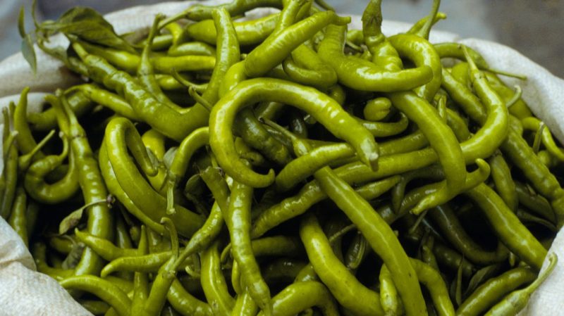 Fördelar och nackdelar med att odla Tsitsak-peppar: hur man får en bra skörd