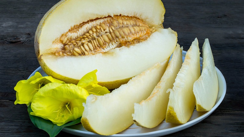 Sucre Melon sent si comme douce "Ananas D 'Amérique Perses melon" 